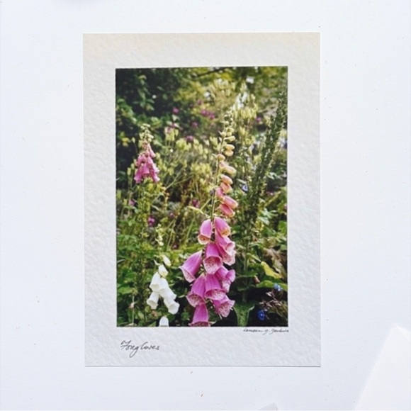 Wild Flower Stationary Card - Picture 10 of 16